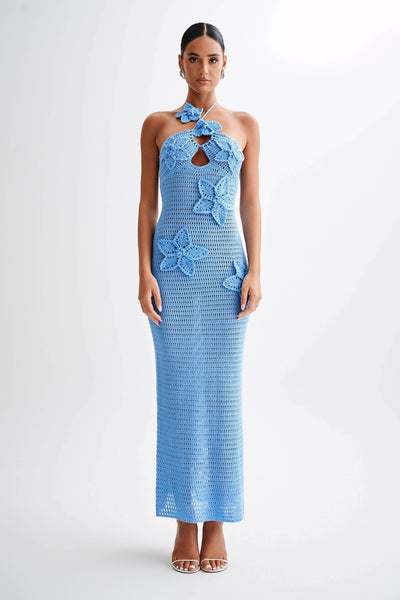 Amy Maxi Dress