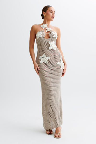 Amy Maxi Dress