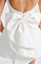 Poppy Mini Dress