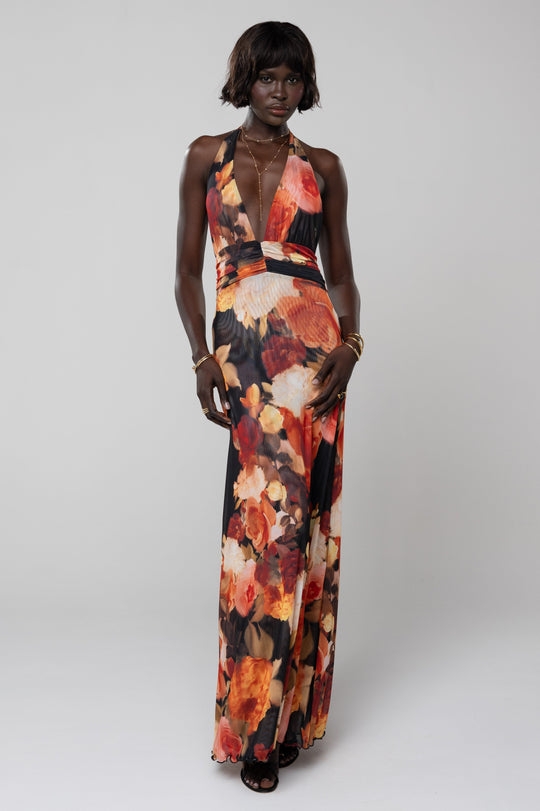 Catalena Maxi Dress