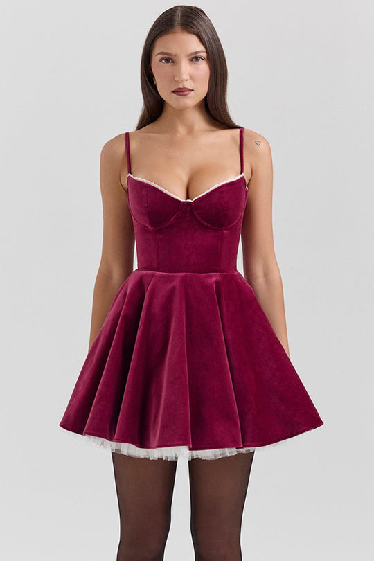 Jessie Mini Dress
