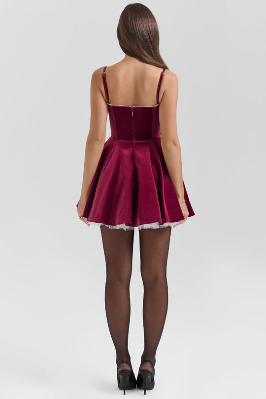 Jessie Mini Dress