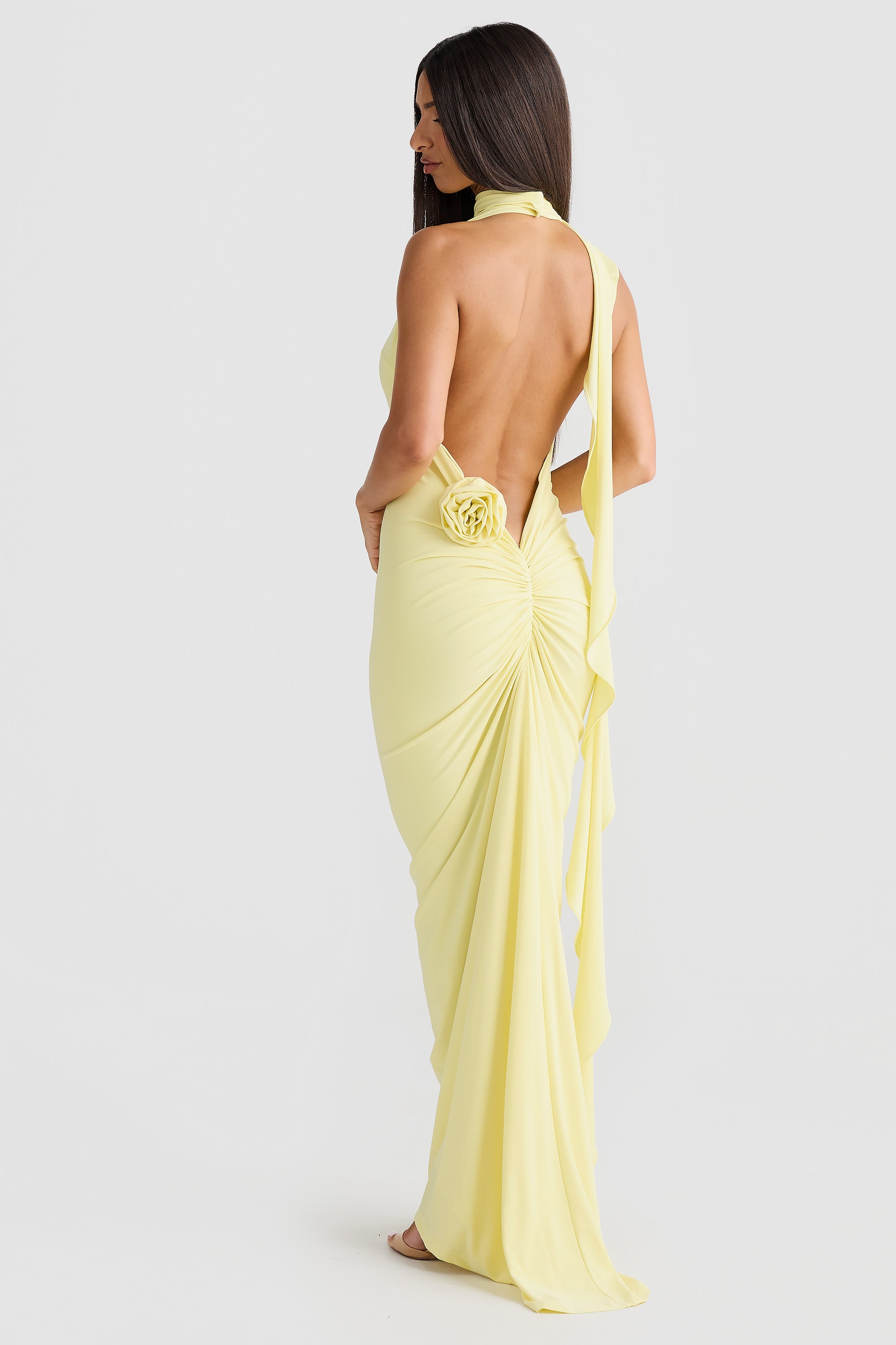 Bella Rose Dress